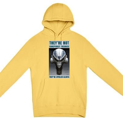 Alien Ufo Conspiracy Theory Disclosure Premium Pullover Hoodie