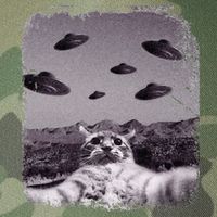 Alien UFO Cat Meme Legacy Tie Dye Trucker Hat