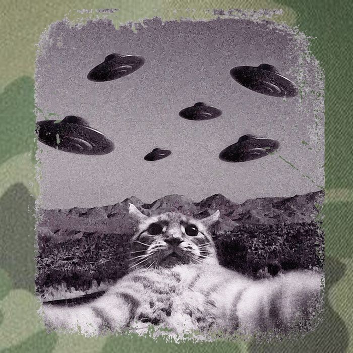 Alien UFO Cat Meme Legacy Tie Dye Trucker Hat