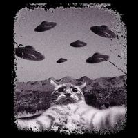 Alien UFO Cat Meme 7-Panel Snapback Hat