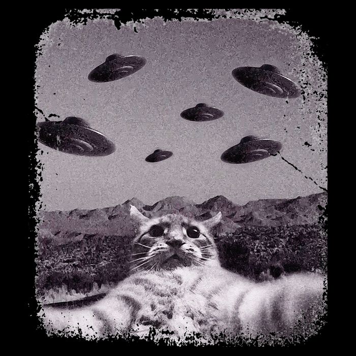 Alien UFO Cat Meme 7-Panel Snapback Hat