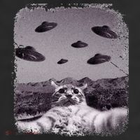 Alien UFO Cat Meme 11oz C Handle Ceramic Mug