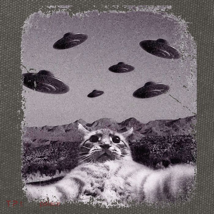 Alien UFO Cat Meme Cotton Canvas Backpack