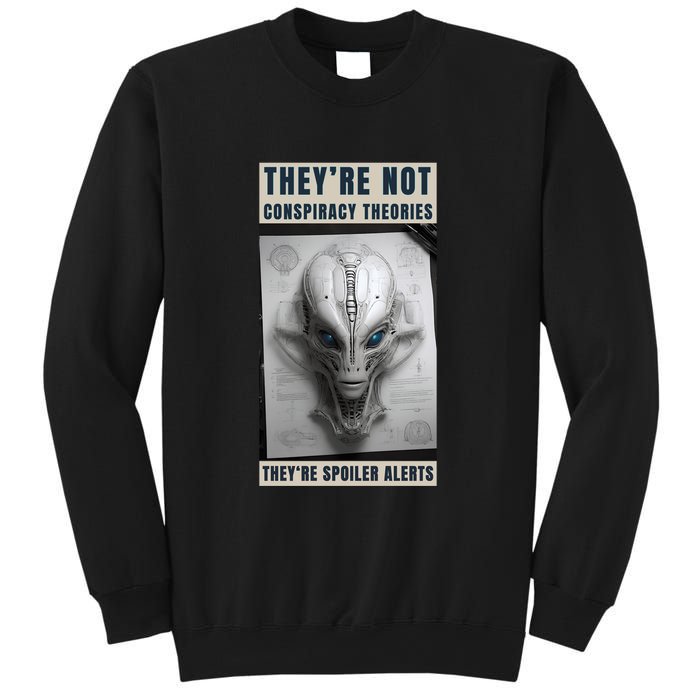 Alien Ufo Conspiracy Theory Disclosure Sweatshirt