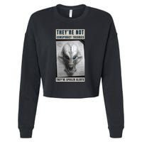 Alien Ufo Conspiracy Theory Disclosure Cropped Pullover Crew
