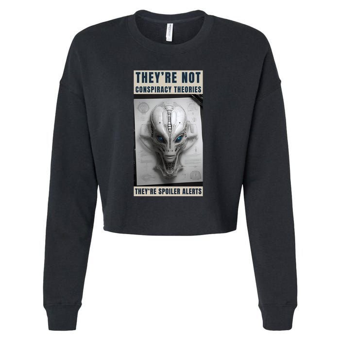 Alien Ufo Conspiracy Theory Disclosure Cropped Pullover Crew