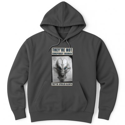 Alien Ufo Conspiracy Theory Disclosure Hoodie