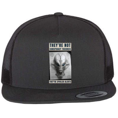Alien Ufo Conspiracy Theory Disclosure Flatbill Hat