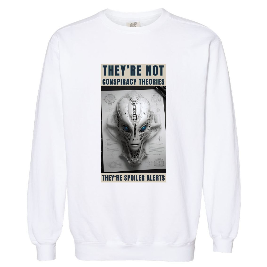 Alien Ufo Conspiracy Theory Disclosure Garment-Dyed Sweatshirt