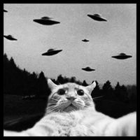 Alien UFO Funny Cat Selfie Bucket Hat
