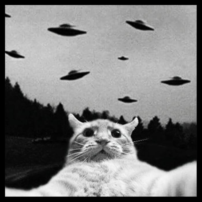 Alien UFO Funny Cat Selfie Drawstring Bag