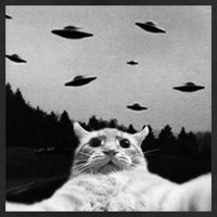 Alien UFO Funny Cat Selfie Golf Towel