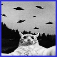 Alien UFO Funny Cat Selfie T-Shirt