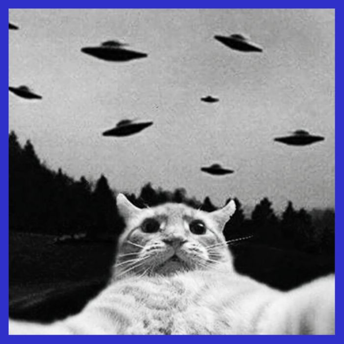 Alien UFO Funny Cat Selfie T-Shirt