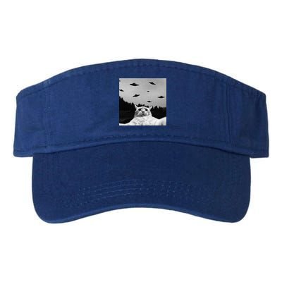 Alien UFO Funny Cat Selfie Visor