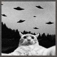 Alien UFO Funny Cat Selfie Cotton Canvas Backpack