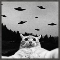 Alien UFO Funny Cat Selfie Vector Backpack