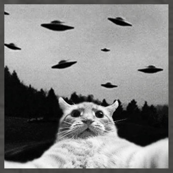 Alien UFO Funny Cat Selfie Vector Backpack