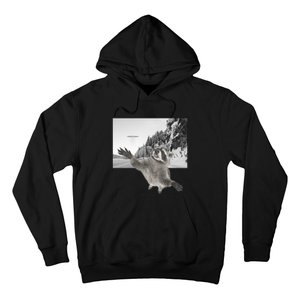 Alien UFO Funny Raccoon Reaching, Funny Raccoon Alien Hoodie