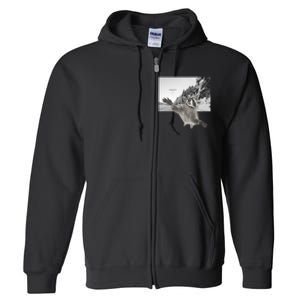 Alien UFO Funny Raccoon Reaching, Funny Raccoon Alien Full Zip Hoodie