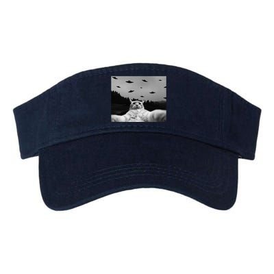 Alien UFO Funny Cat Valucap Bio-Washed Visor