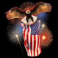 America USA Flag Eagle Fireworks City Backpack