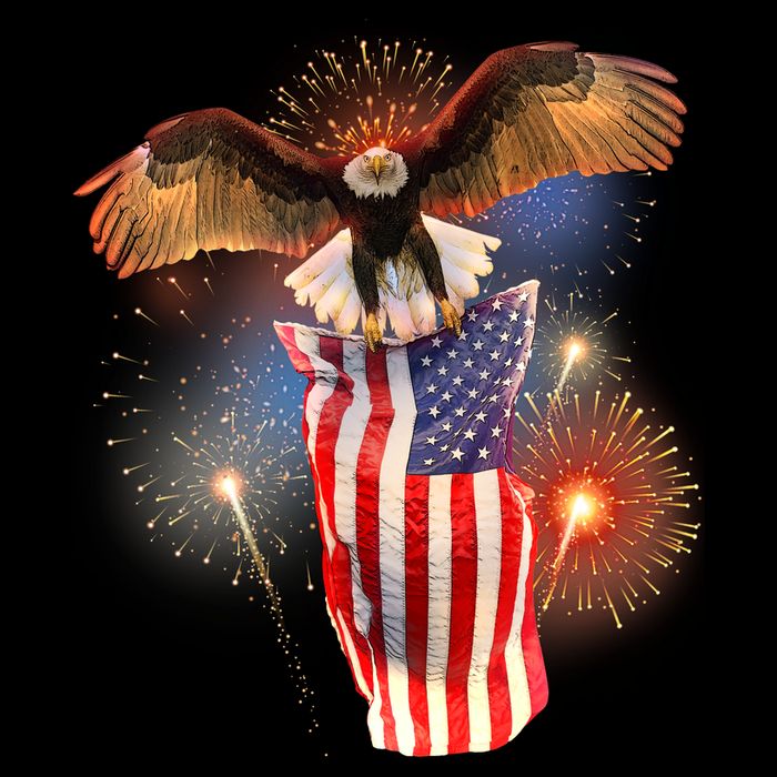 America USA Flag Eagle Fireworks City Backpack