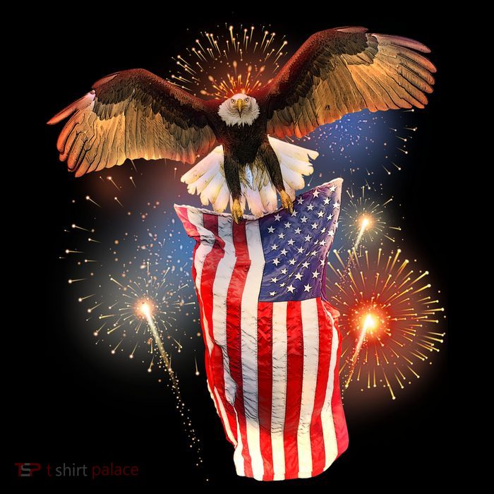 America USA Flag Eagle Fireworks 7-Panel Snapback Hat