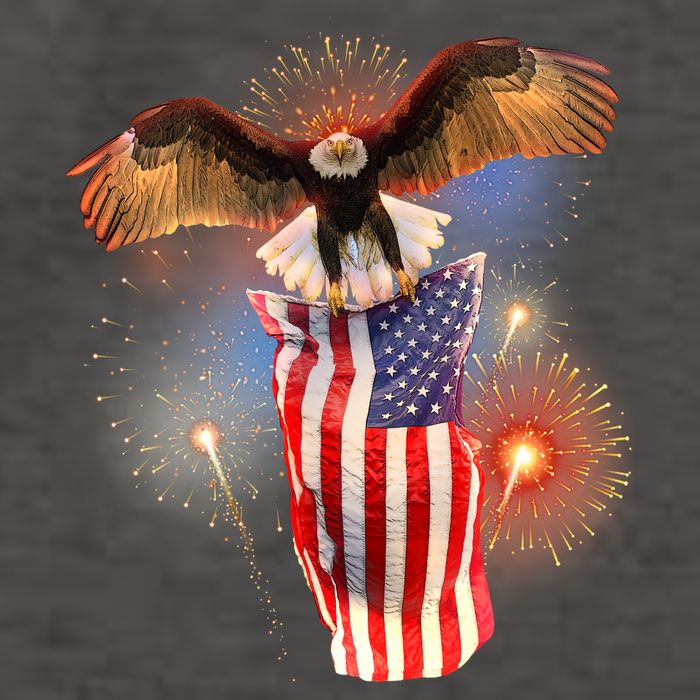 America USA Flag Eagle Fireworks Vector Backpack