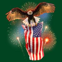 America USA Flag Eagle Fireworks Apron