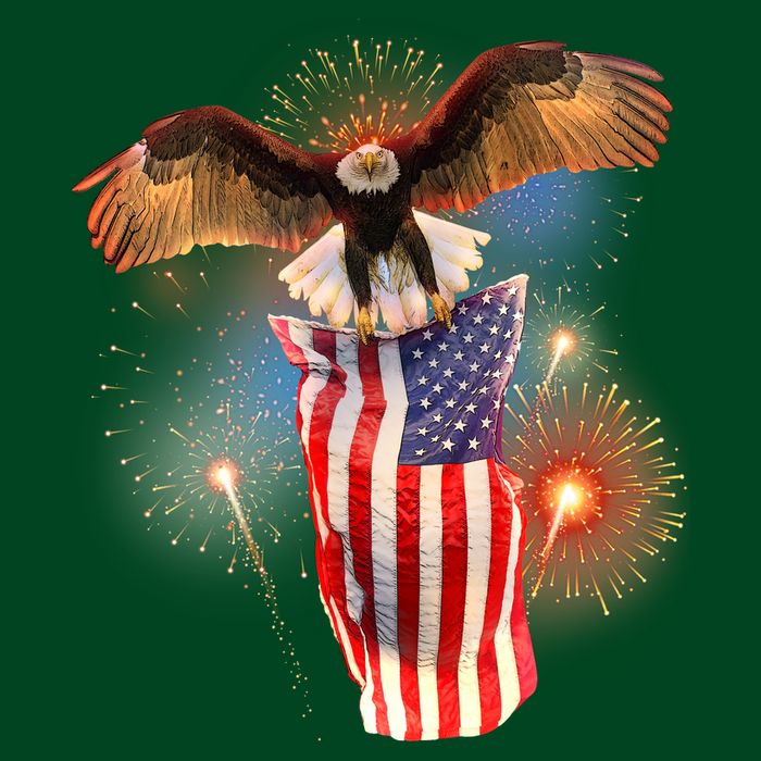 America USA Flag Eagle Fireworks Apron