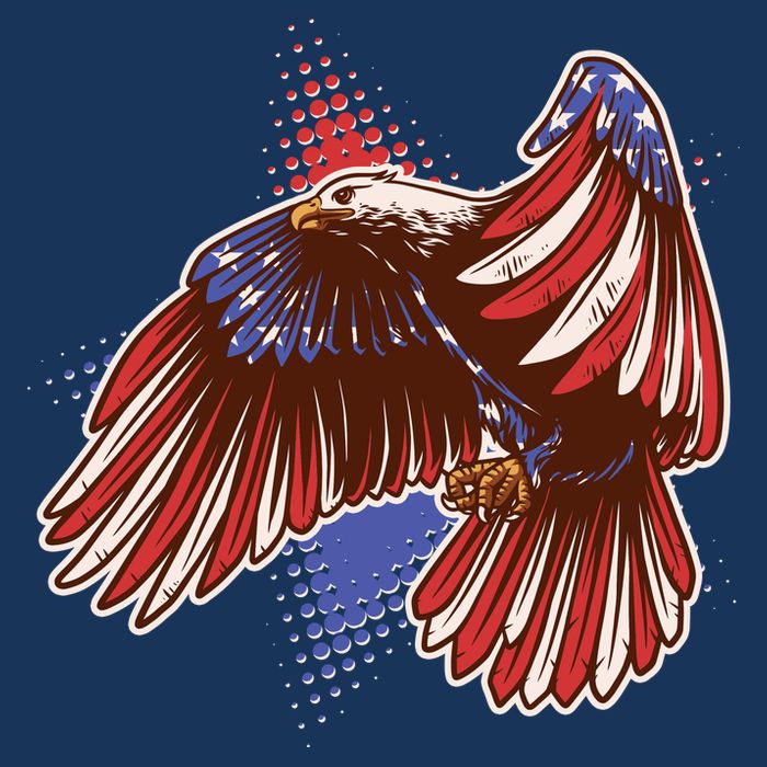 American USA Flag Patriotic Bald Eagle 7 Panel Mesh Trucker Snapback Hat