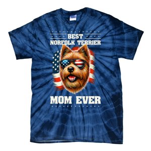 American Usa Flag Norfolk Terrier Terriers 4th Of July Tie-Dye T-Shirt