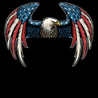 American USA Flag Eagle In Pocket Mug