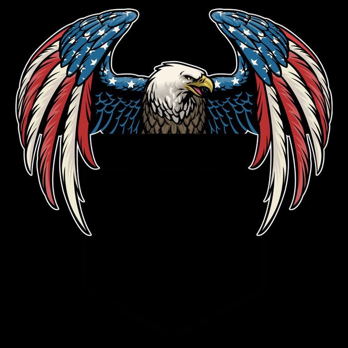 American USA Flag Eagle In Pocket Mug