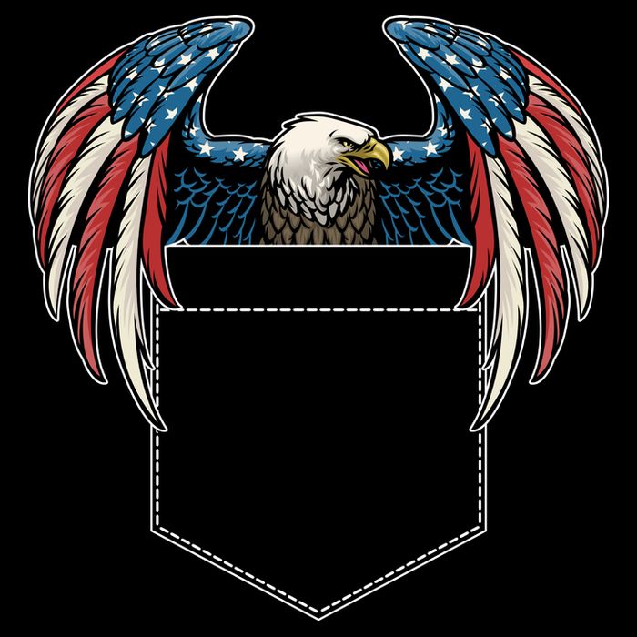 American USA Flag Eagle In Pocket Drawstring Bag