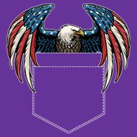 American USA Flag Eagle In Pocket Toddler T-Shirt