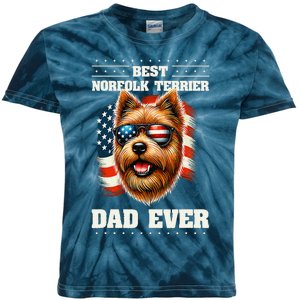 American Usa Flag Norfolk Terrier Terriers 4th Of July Kids Tie-Dye T-Shirt