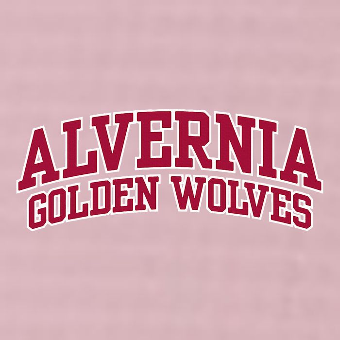 Alvernia University Golden Wolves 25L Jumbo Tote