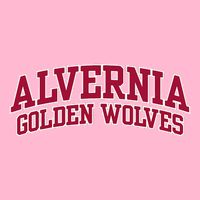 Alvernia University Golden Wolves Short Acrylic Beanie