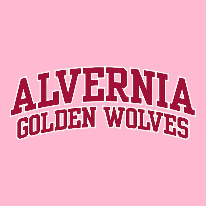 Alvernia University Golden Wolves Short Acrylic Beanie