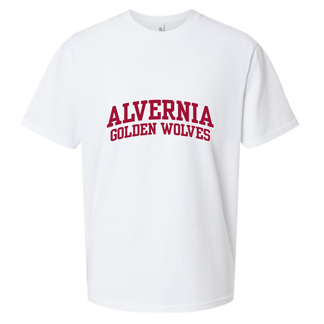 Alvernia University Golden Wolves Sueded Cloud Jersey T-Shirt