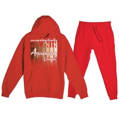 Aquarius Unapologetically Melanin Queen For Black Funny Gift Premium Hooded Sweatsuit Set