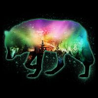 Aurora Borealis Wolf Wilderness City Backpack