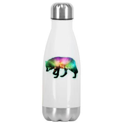 Aurora Borealis Wolf Wilderness Stainless Steel Insulated Water Bottle