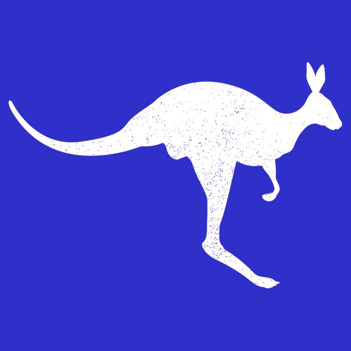 Aussie Kangaroo V-Neck T-Shirt