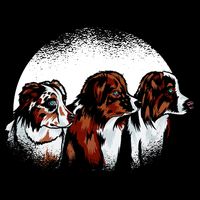 Australian Shepherd Dogs T-Shirt