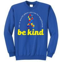 Autism Awareness Be Anything Be Kind Sweatshirt