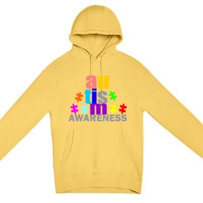 Autism Awareness Logo Premium Pullover Hoodie