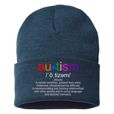 Autism Awareness Noun Definition Sustainable Knit Beanie